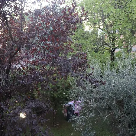 Monika 12 Beatrice Bardolino