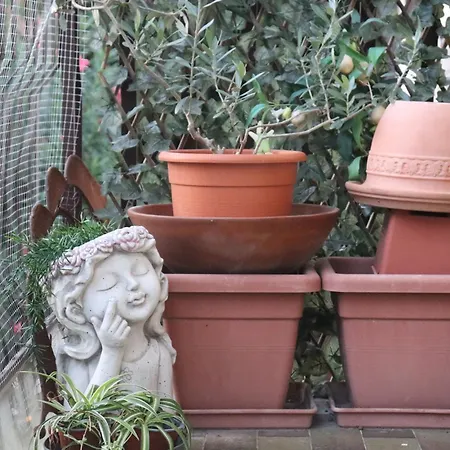 Monika 12 Beatrice Apartmán *