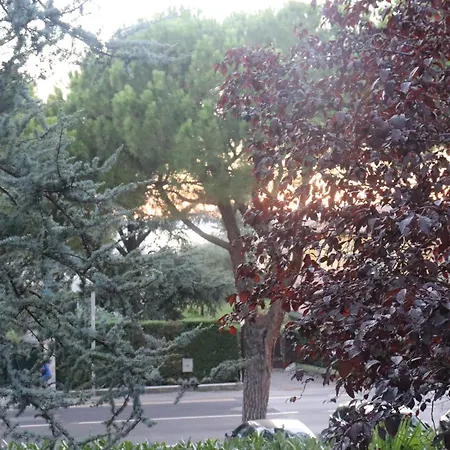 Apartmán Monika 12 Beatrice Bardolino