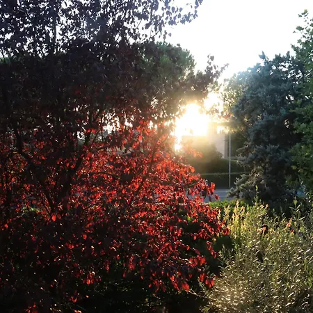 Apartmán Monika 12 Beatrice *