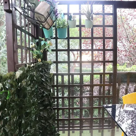 Apartmán Monika 12 Beatrice